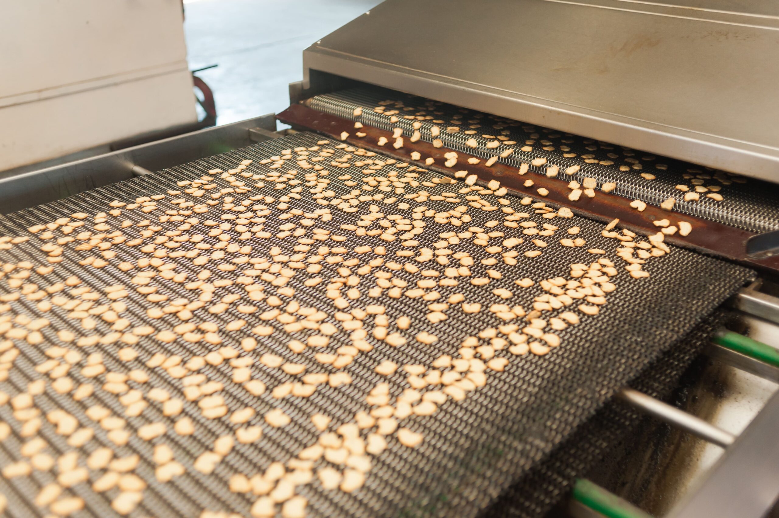Wire mesh conveyor belt transporting peanuts in food plant.
